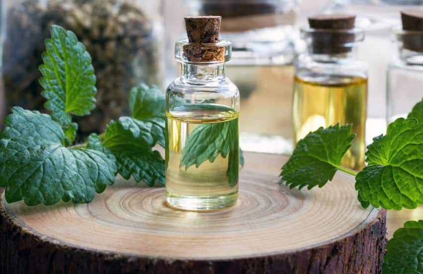 تصویر 3 از عرق نعنا شیشه ای خالص دارای خواص گوارشی برای برطرف کردن نفخ معده